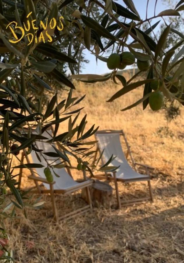 Готель Tienda De Safari Almagro Монтекорто Екстер'єр фото